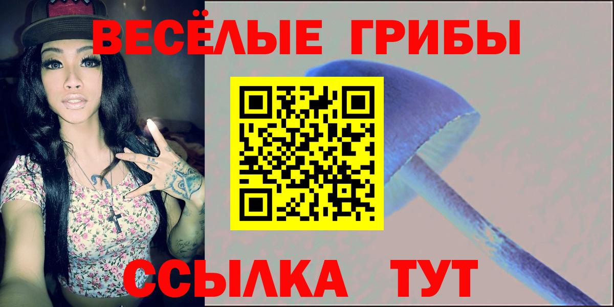 Кропоткин  Псилоцибиновые грибы мицелий  дарнет шоп  Вход с VPN 